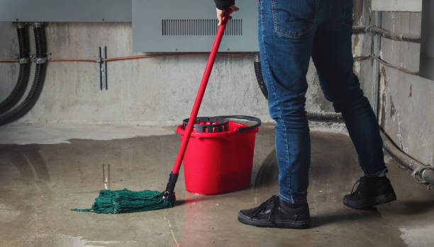 Best Professional water damage repair  in Berry Hill, TN