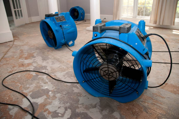 Best Local water damage restoration  in Berry Hill, TN