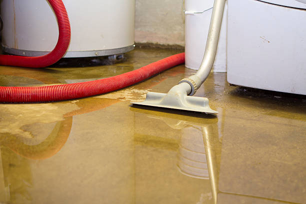 Best Sewage cleanup and water damage restoration  in Berry Hill, TN